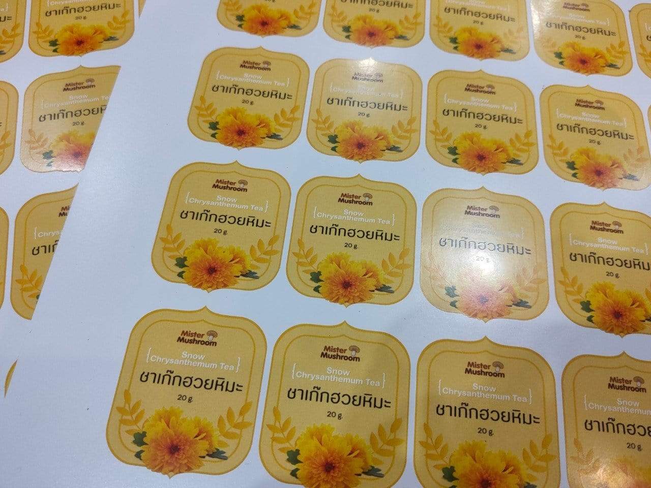 ฉลากสติ๊กเกอร์กันน้ำ PP สติ๊กเกอร์ไดคัท พิมพ์คมชัด ทนทาน กันน้ำ เหมาะสำหรับติดบรรจุภัณฑ์ สินค้า และงานโปรโมชัน