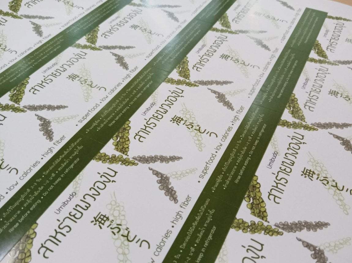 สติ๊กเกอร์ฉลากสินค้ากันน้ำขาวด้าน สติกเกอร์แปะซอง สาหร่ายพวงองุ่น ไดคัทสี่เหลี่ยม พร้อมใช้งาน