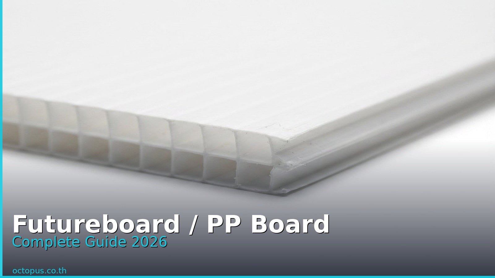 ฟิวเจอร์บอร์ด PP Board Complete Guide 2026