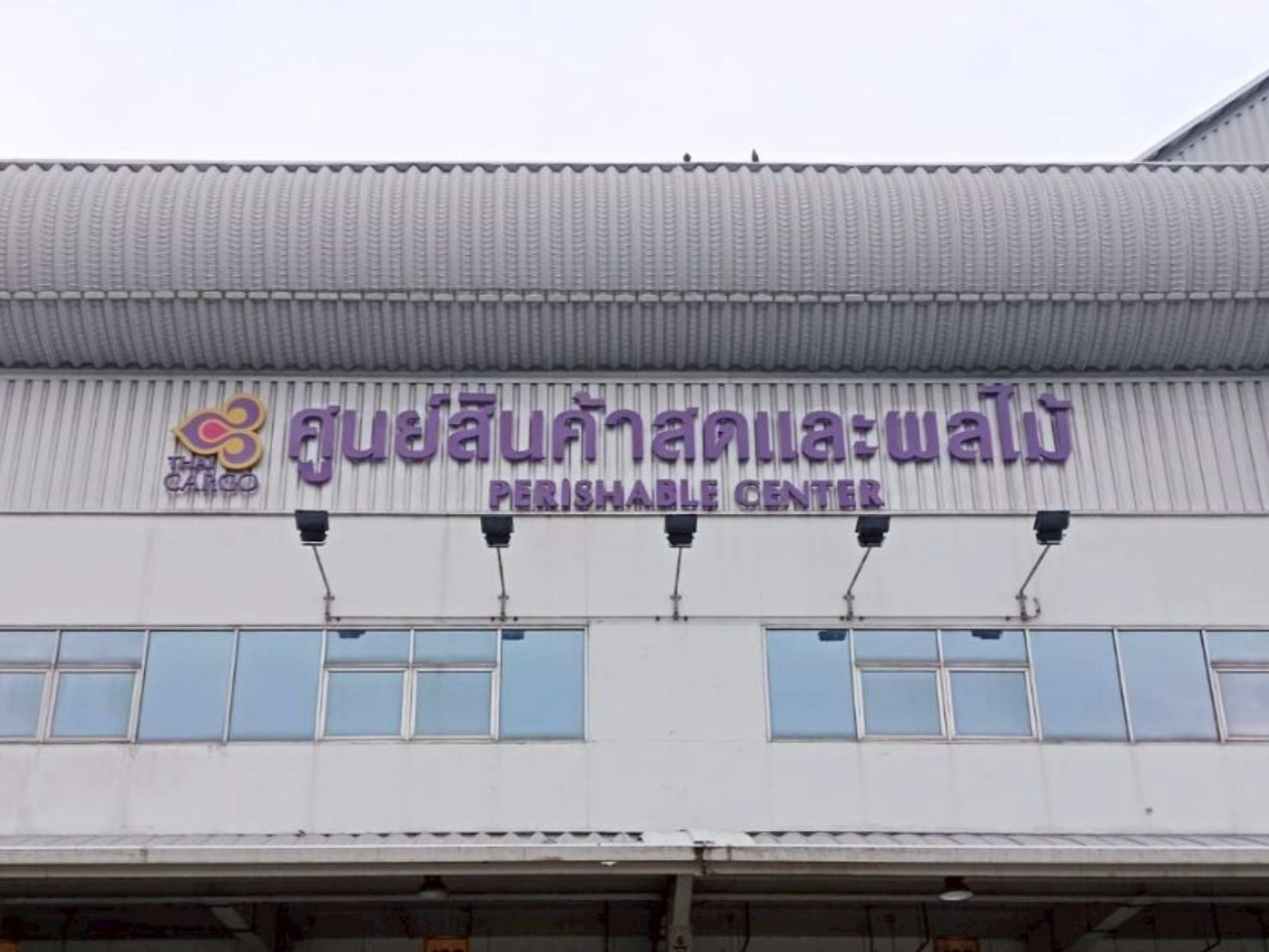custom signage ป้ายสนามบิน ป้ายสายการบิน wall sign