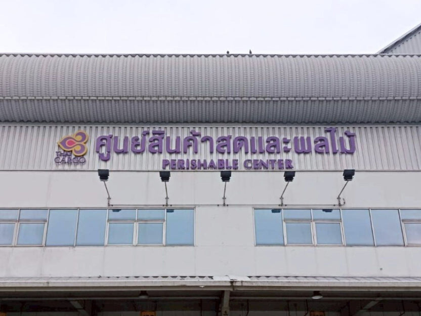 custom signage ป้ายสนามบิน ป้ายสายการบิน wall sign