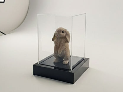 Model Display Light Box