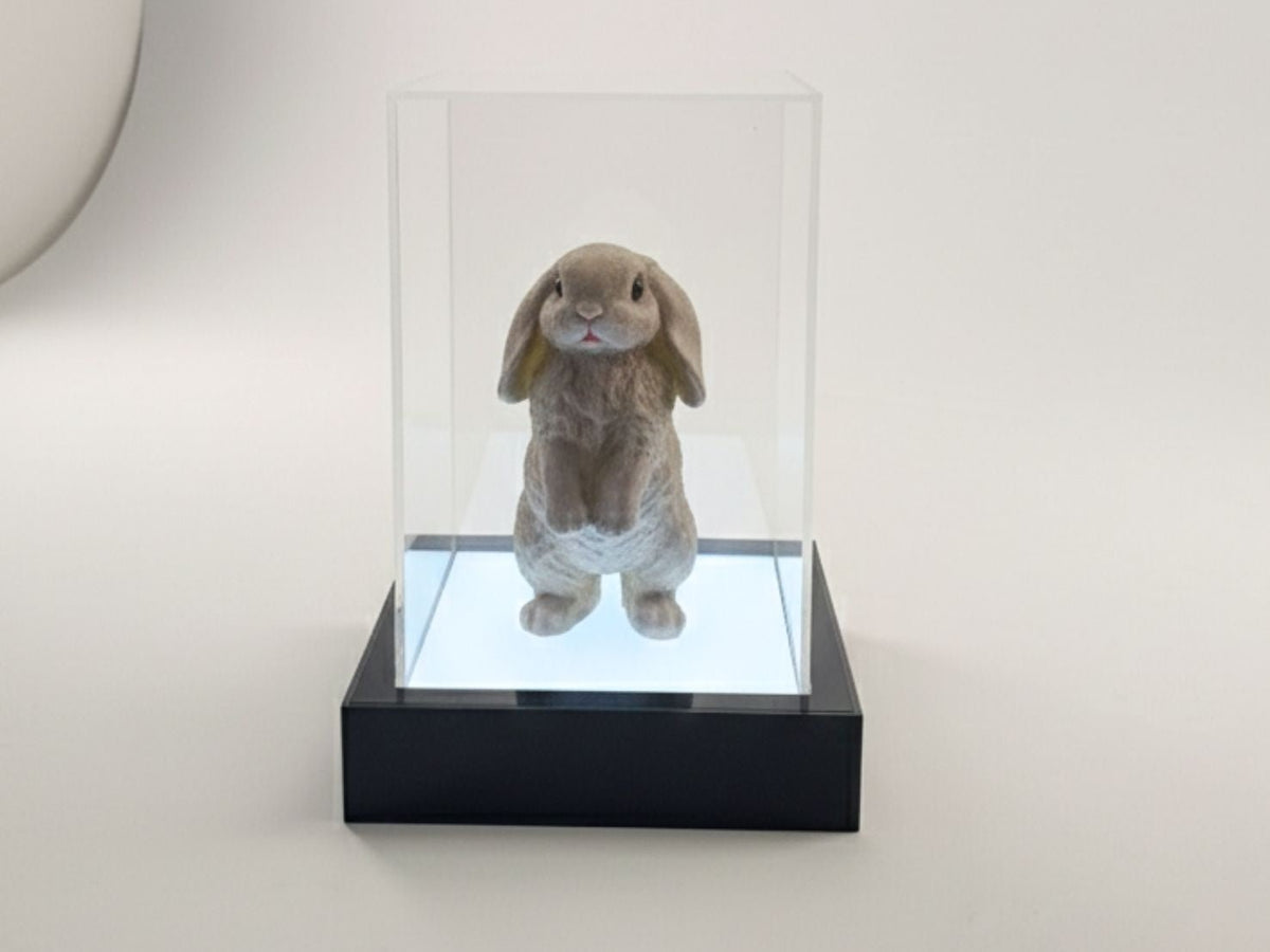 Model Display Light Box