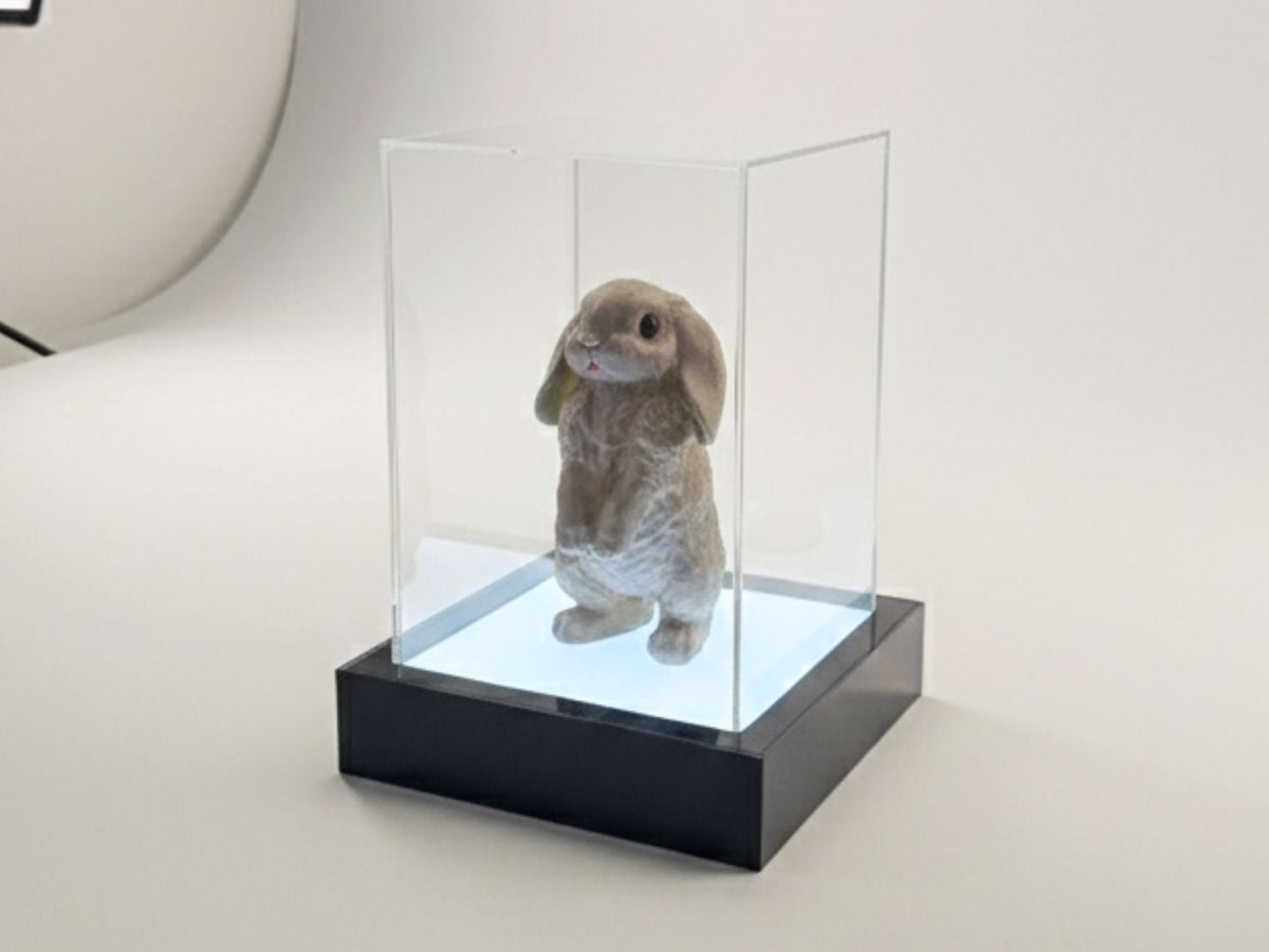 Model Display Light Box