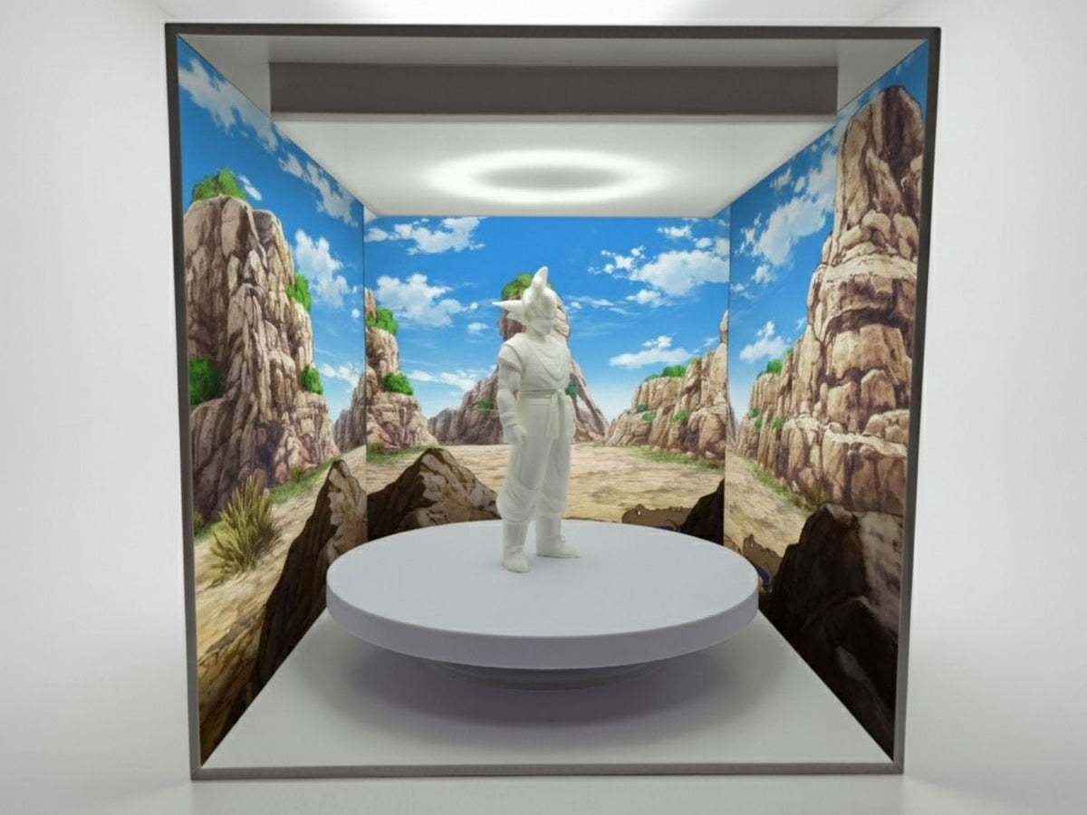 Model Display Light Box