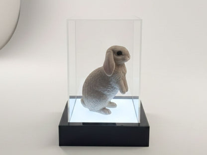 Model Display Light Box