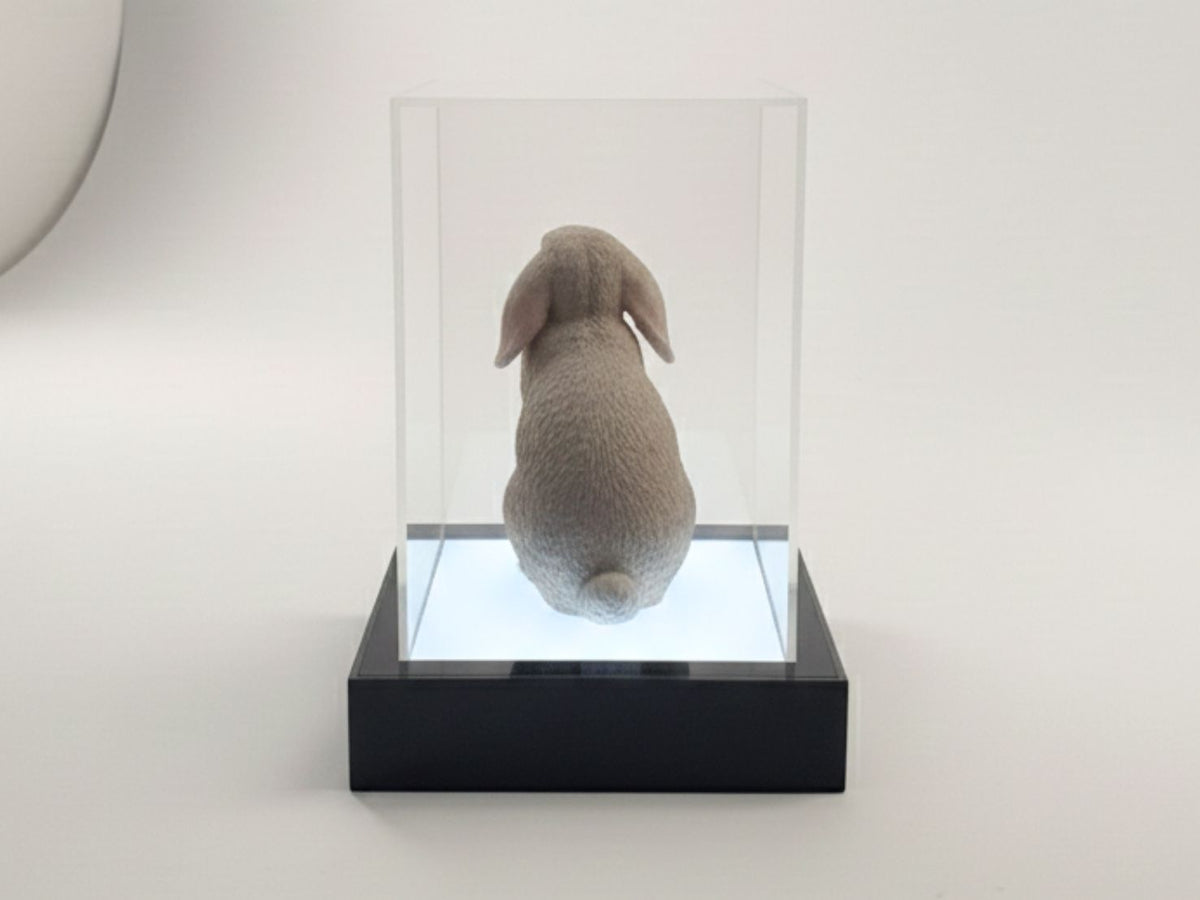 Model Display Light Box