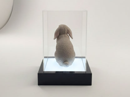 Model Display Light Box