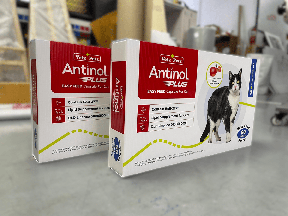 ม็อคอัพสินค้า ราคาถูก Product Mockup พิมพ์คมชัด ดีไซน์เสมือนจริง เหมาะสำหรับโชว์บรรจุภัณฑ์ งานออกบูธ และงานนำเสนอสินค้า