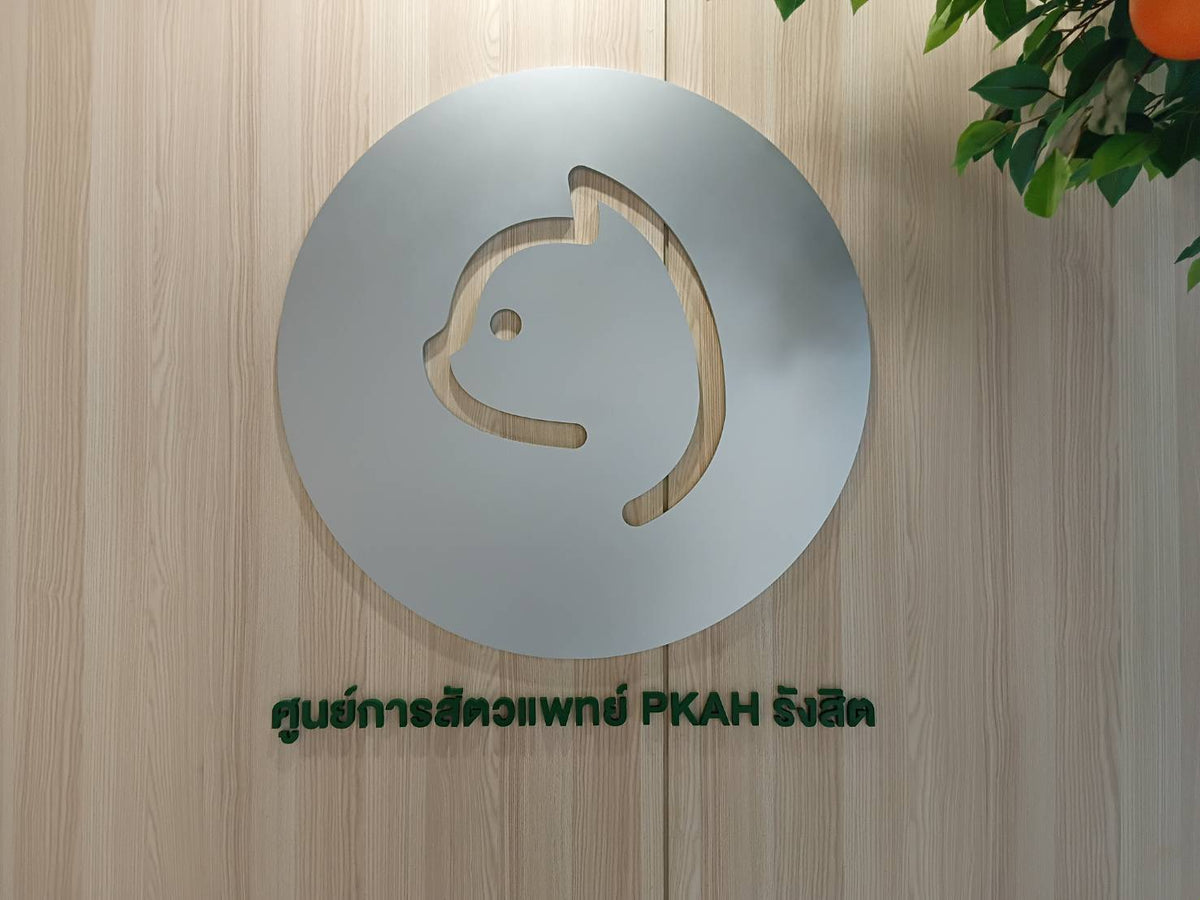 ป้ายกลมสีเงิน ตัดฉลุหัวแมว ติดผนังไม้ Laser Fiber CNC