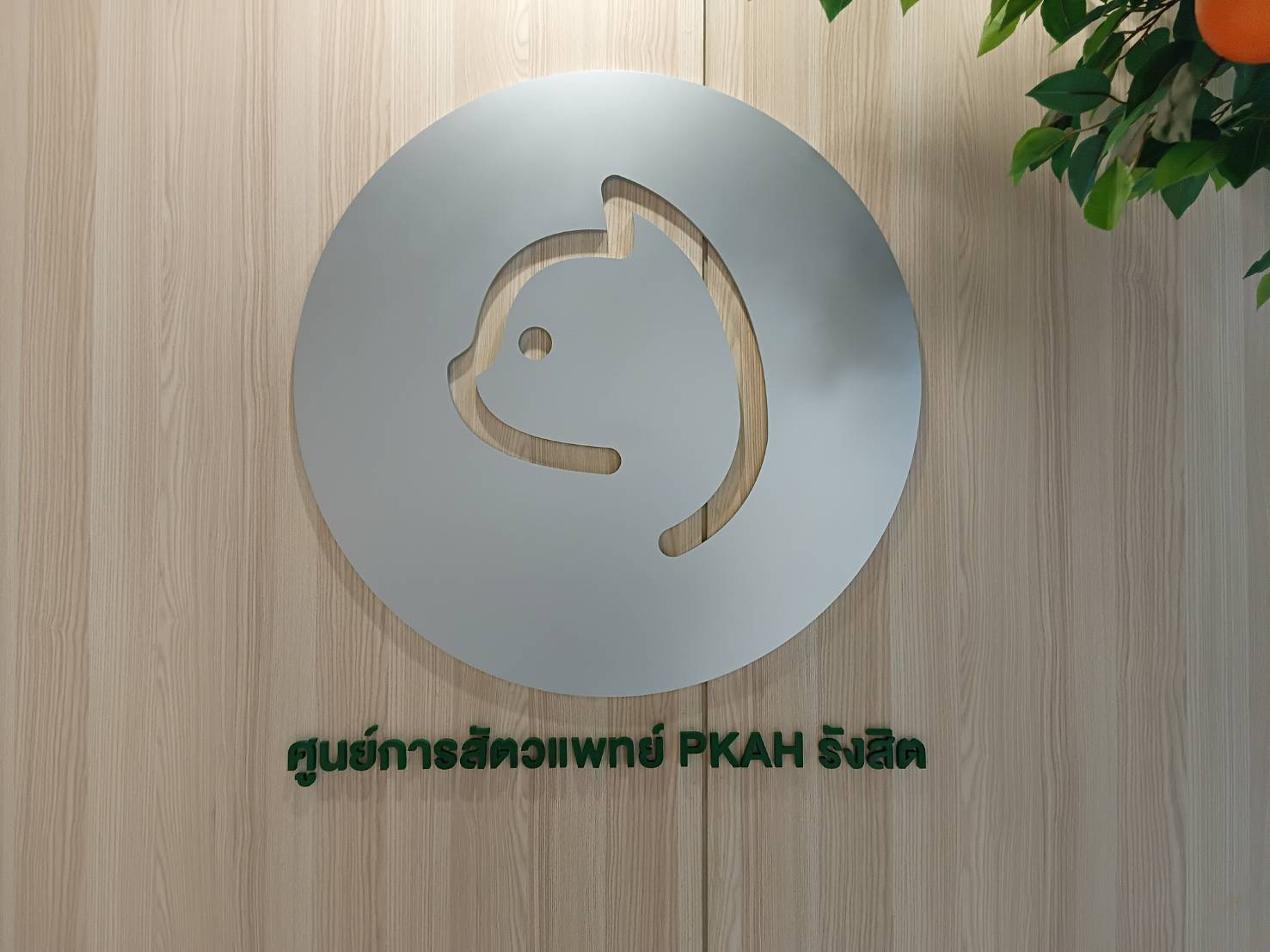 ป้ายกลมสีเงิน ตัดฉลุหัวแมว ติดผนังไม้ Laser Fiber CNC