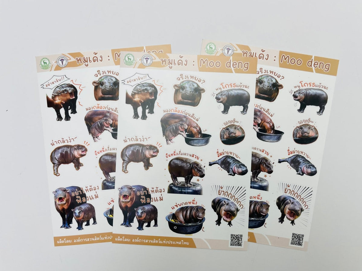 สติ๊กเกอร์ไดคัทลายการ์ตูน A5/A4 พิมพ์สีสด คมชัด เหมาะสำหรับของสะสม งานตกแต่ง และโปรโมชัน