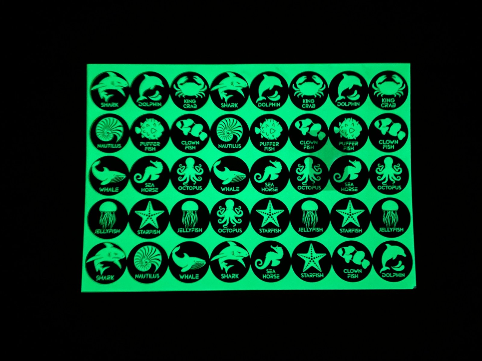 สติ๊กเกอร์เรืองแสง พรายน้ำ Glow in the Dark Sticker มองเห็นชัดในที่มืด เหมาะสำหรับงานตกแต่ง ป้ายความปลอดภัย และงานดีไซน์