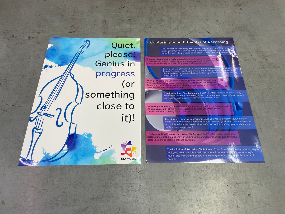 Large Poster Print Service