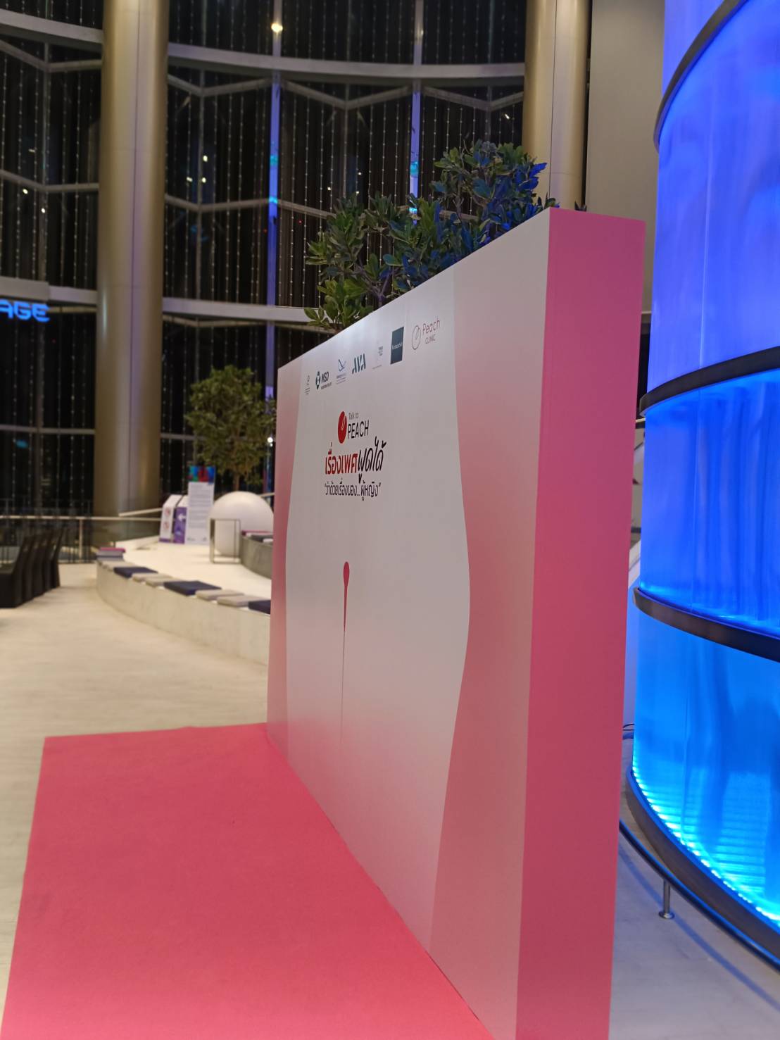 Backdrop ไม้ แบคดรอปโครงไม้ ใช้เป็นฉากเวทีและฉากถ่ายภาพ ดีไซน์แข็งแรง สวยงาม เหมาะสำหรับงานอีเวนต์และงานแต่งงาน