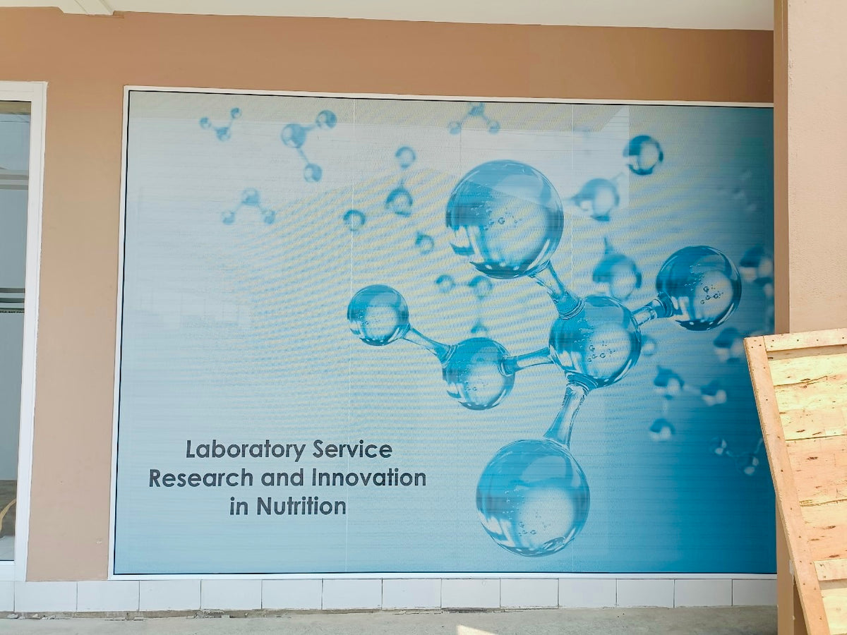 สติ๊กเกอร์ซีทรู See-through One Way Vision มองทะลุจากด้านในได้ พิมพ์คมชัด เหมาะสำหรับติดกระจกอาคารและรถยนต์