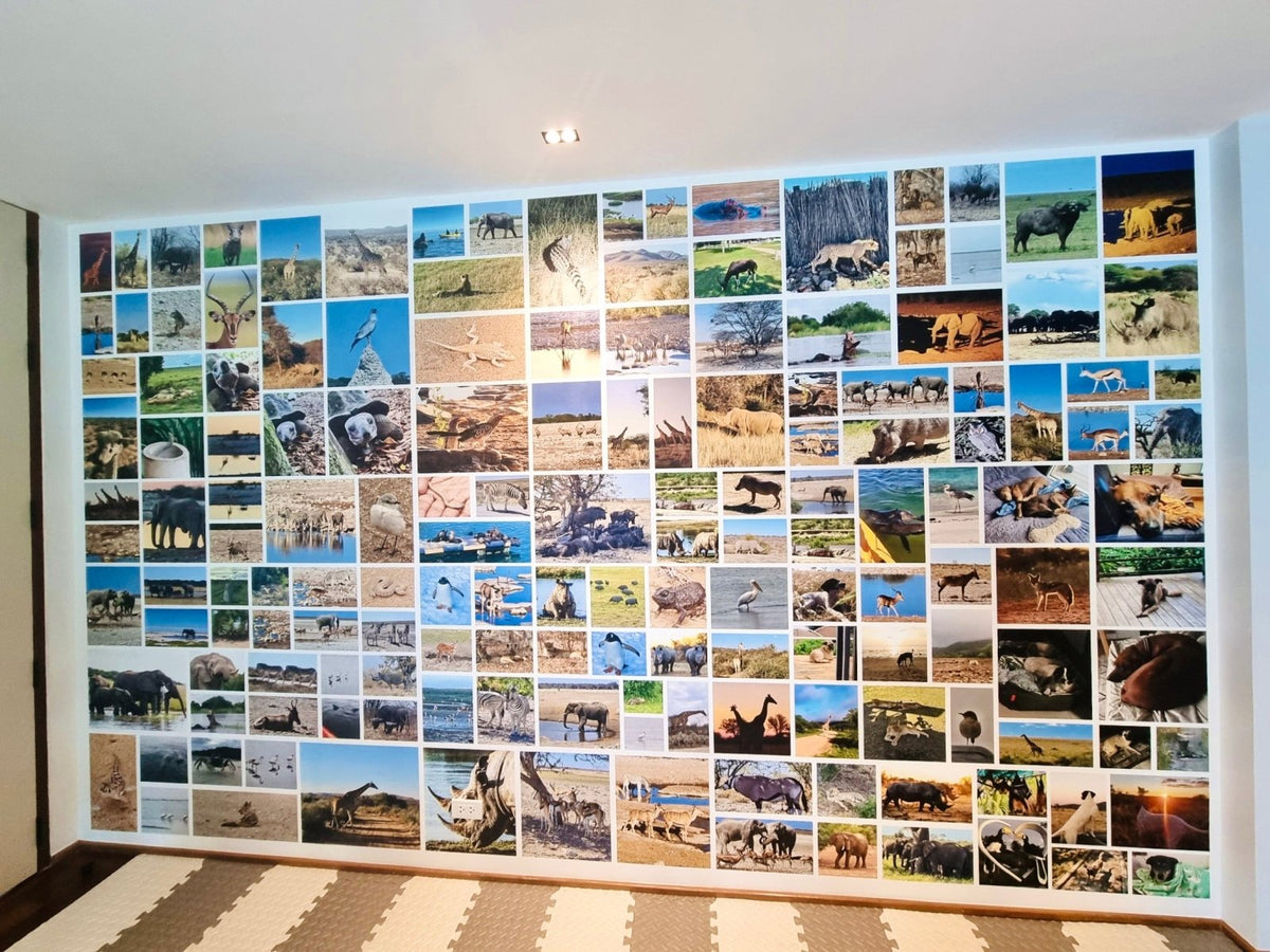 สติ๊กเกอร์ติดผนังปูน และสติ๊กเกอร์ตกแต่ง พิมพ์ลายคมชัด ติดตั้งง่าย เหมาะสำหรับตกแต่งบ้าน ร้านค้า และออฟฟิศ