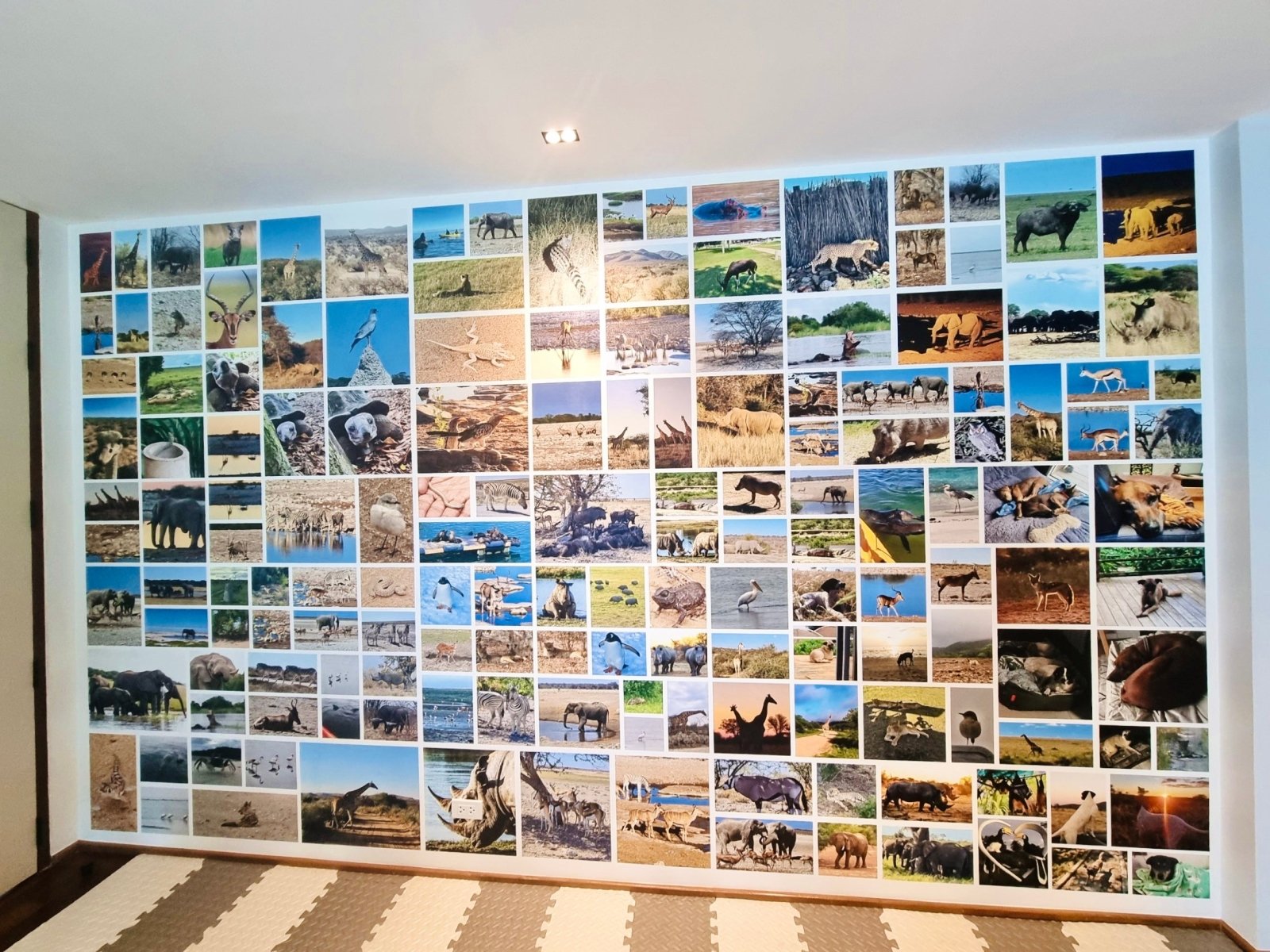 สติ๊กเกอร์ติดผนังปูน และสติ๊กเกอร์ตกแต่ง พิมพ์ลายคมชัด ติดตั้งง่าย เหมาะสำหรับตกแต่งบ้าน ร้านค้า และออฟฟิศ