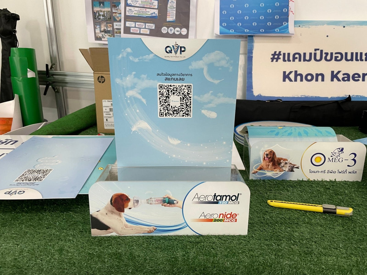 กล่องดิสเพลย์ ถาด POP Display สินค้า ดีไซน์โดดเด่น เหมาะสำหรับโชว์สินค้าและงานโปรโมชัน