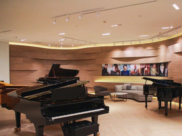 Renovated Retail | Shop | Store