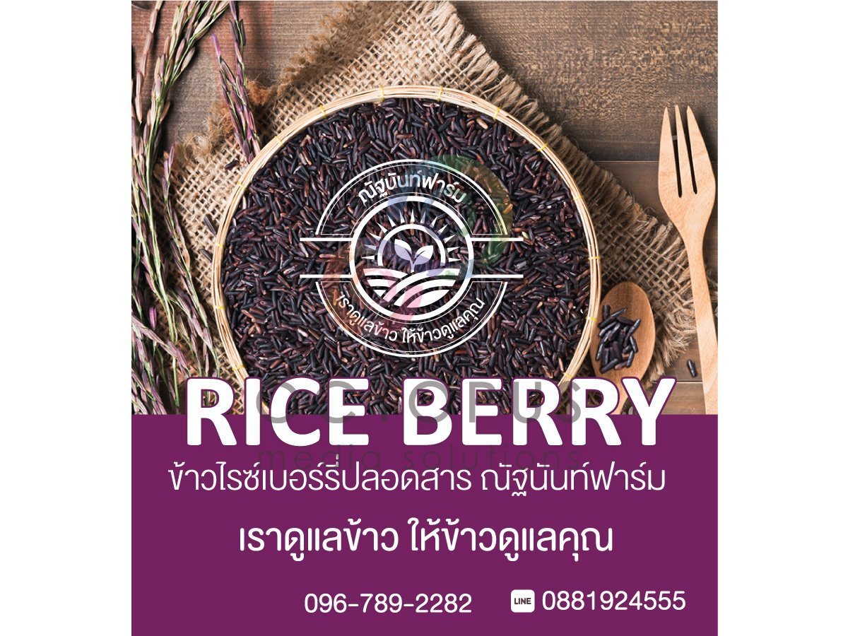 ออกแบบฉลากสินค้า ตัวอย่างฉลาก ข้าว riceberry ข้าวไรซ์เบอร์รี่