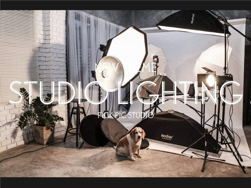 Pick Pic รับถ่ายภาพ และเช่าสตูดิโอถ่ายภาพ อบอุ่น กันเอง