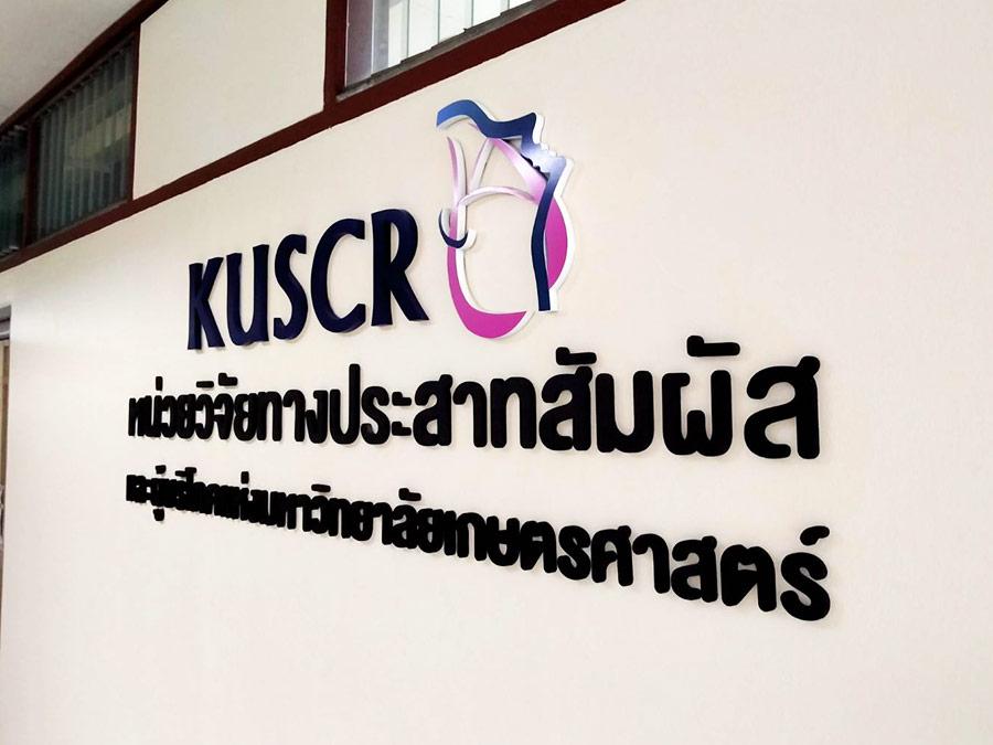 ป้ายพลาสวูดตัวอักษร สีขาว plastwood ไดคัทข้อความ ตัวอักษรภาษาอังกฤษ พลาสวูดไดคัทรูปไก่ สีดำแดง แผ่นพลาสวูดราคาถูก