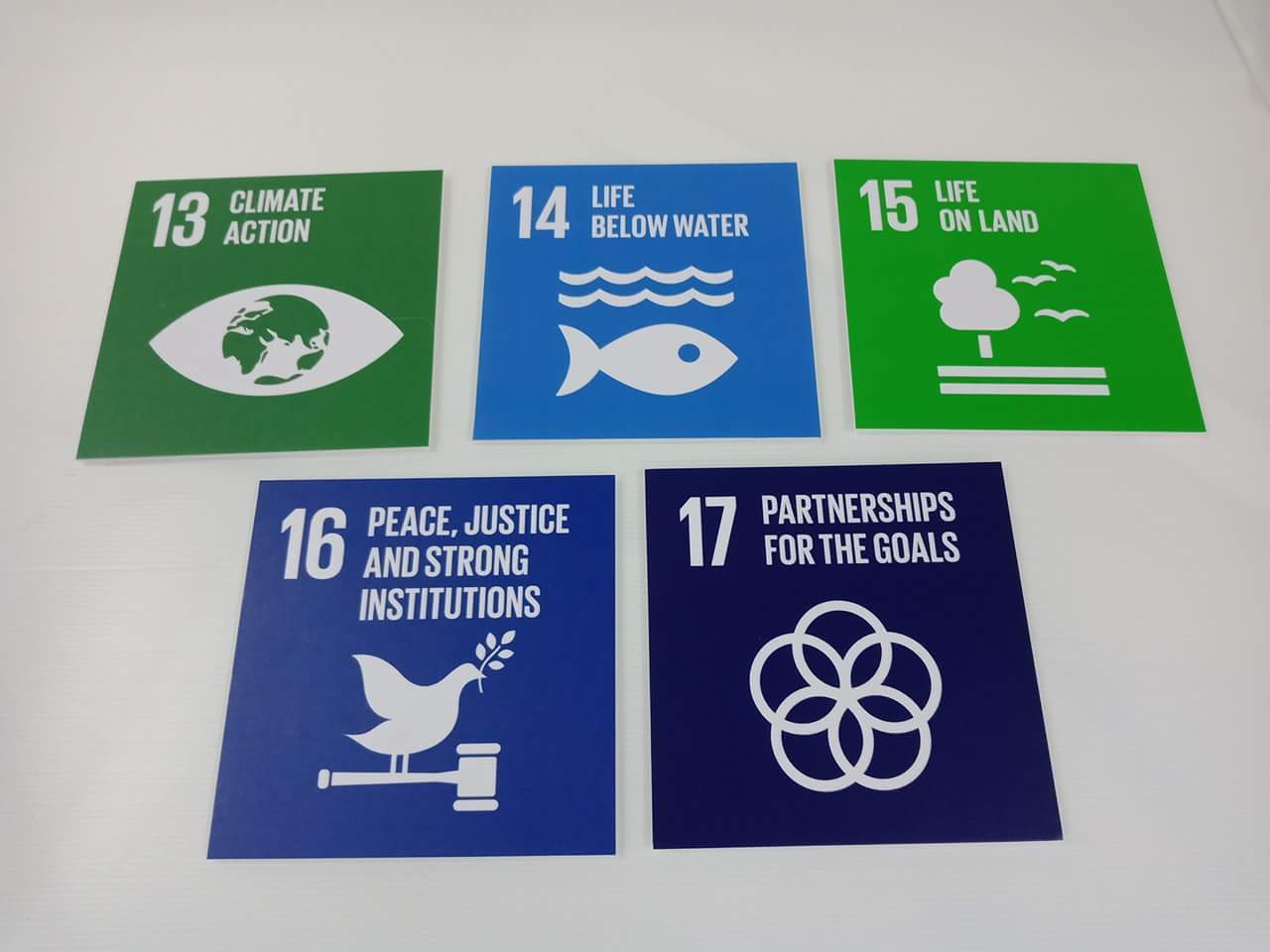 ป้ายโฟมบอร์ด Foamboard น้ำหนักเบา พิมพ์คมชัด เหมาะสำหรับงานอีเวนต์ นิทรรศการ งานโฆษณา และงานประชาสัมพันธ์