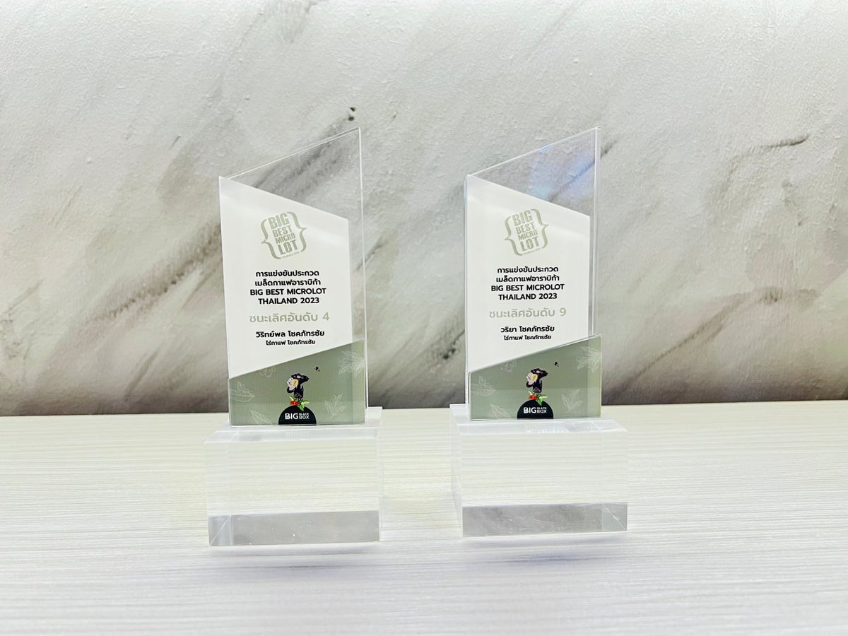 โล่รางวัล Acrylic Trophy Award อะคริลิคใส พิมพ์คมชัด ดีไซน์หรูหรา เหมาะสำหรับงานมอบรางวัล เกียรติยศ การแข่งขัน และงานองค์กร