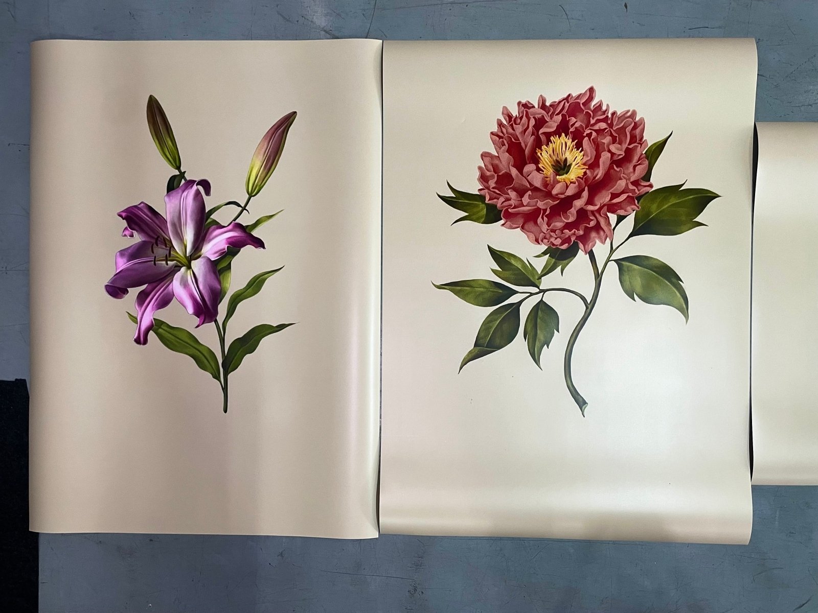 พิมพ์โปสเตอร์โฆษณาสินค้า Poster Ad โปสเตอร์ขนาดใหญ่ พิมพ์คมชัด สีสด เหมาะสำหรับงานโปรโมชัน โฆษณา และตกแต่งร้าน