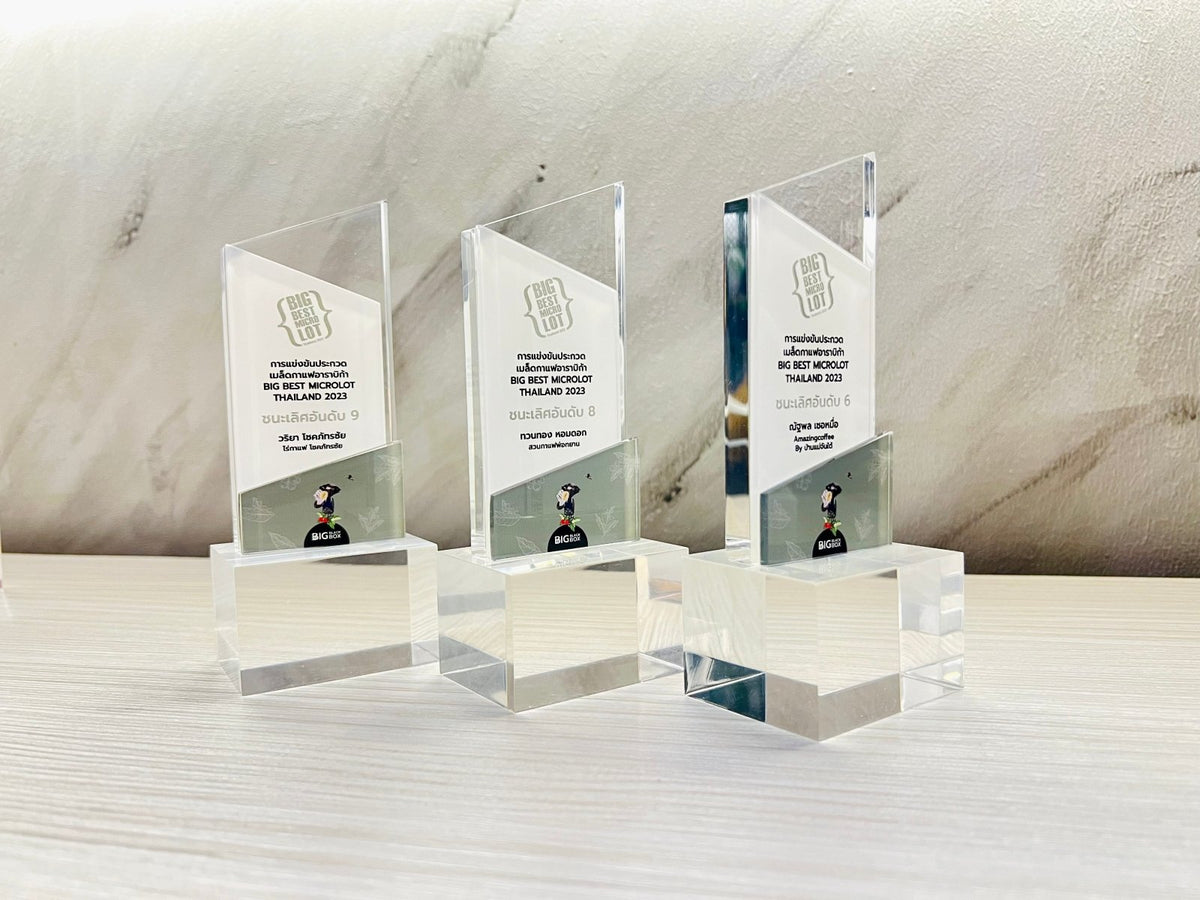 โล่รางวัล Acrylic Trophy Award อะคริลิคใส พิมพ์คมชัด ดีไซน์หรูหรา เหมาะสำหรับงานมอบรางวัล เกียรติยศ การแข่งขัน และงานองค์กร