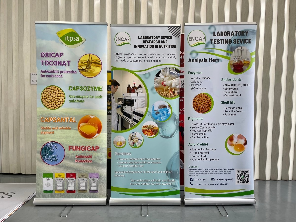 โรลอัพ Roll Up Banner น้ำหนักเบา เคลื่อนย้ายสะดวก พิมพ์คมชัด เหมาะสำหรับงานอีเวนต์ แสดงสินค้า และโปรโมชัน