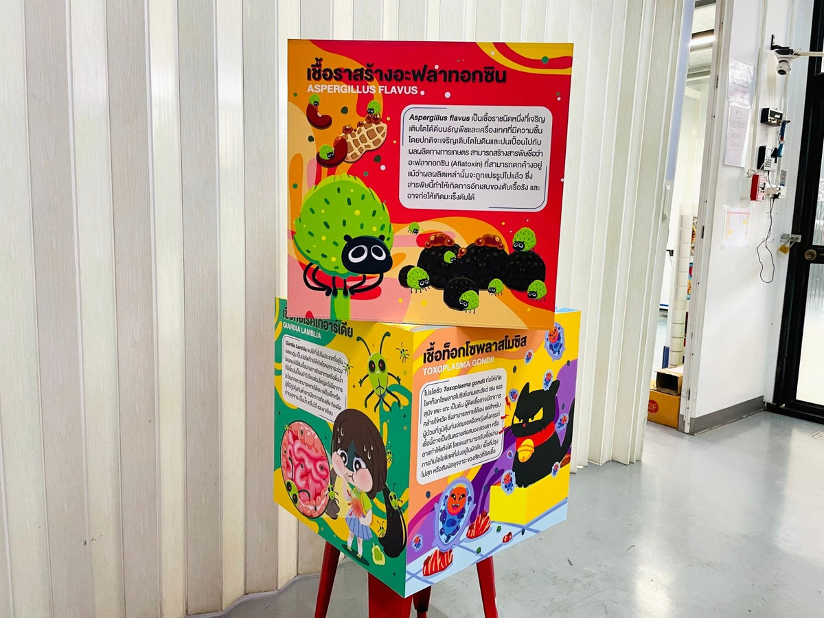 กล่องลูกเต๋า กล่องฟิวเจอร์บอร์ดทรงลูกเต๋า พิมพ์คมชัด เหมาะสำหรับงานอีเวนต์ และดิสเพลย์สินค้า