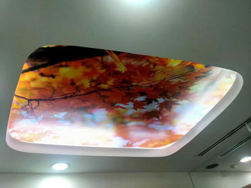 ceiling stickers