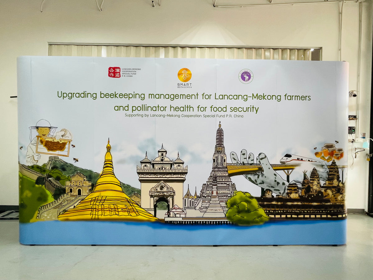 Backdrop แบคดรอปสำเร็จรูป พิมพ์คมชัด ติดตั้งง่าย เหมาะสำหรับงานอีเวนต์ นิทรรศการ และงานโปรโมชัน