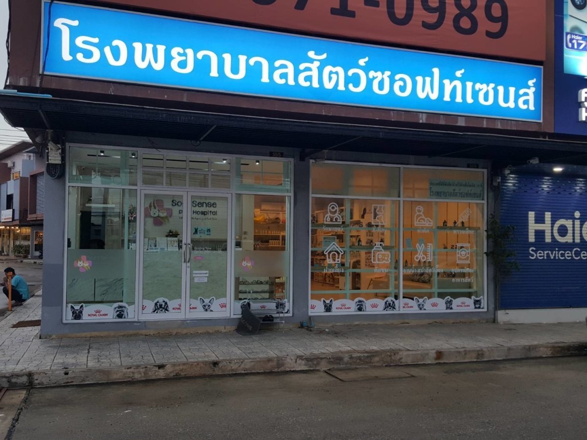 สติ๊กเกอร์ติดกระจก ทึบแสง กันแดด และโปร่งแสง พิมพ์คมชัด ช่วยลดแสงแดด เพิ่มความเป็นส่วนตัว เหมาะสำหรับอาคารและร้านค้า