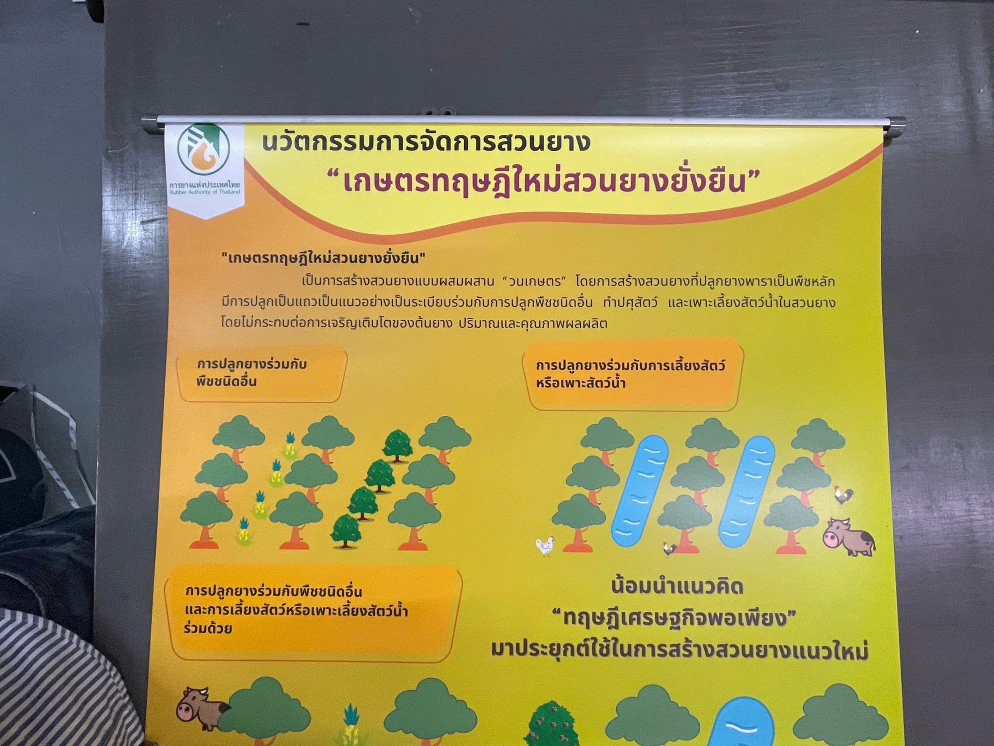 โปสเตอร์แขวนผนัง Hanging Poster พิมพ์คมชัด สีสดใส เหมาะสำหรับงานโฆษณา ประชาสัมพันธ์ และตกแต่งผนัง