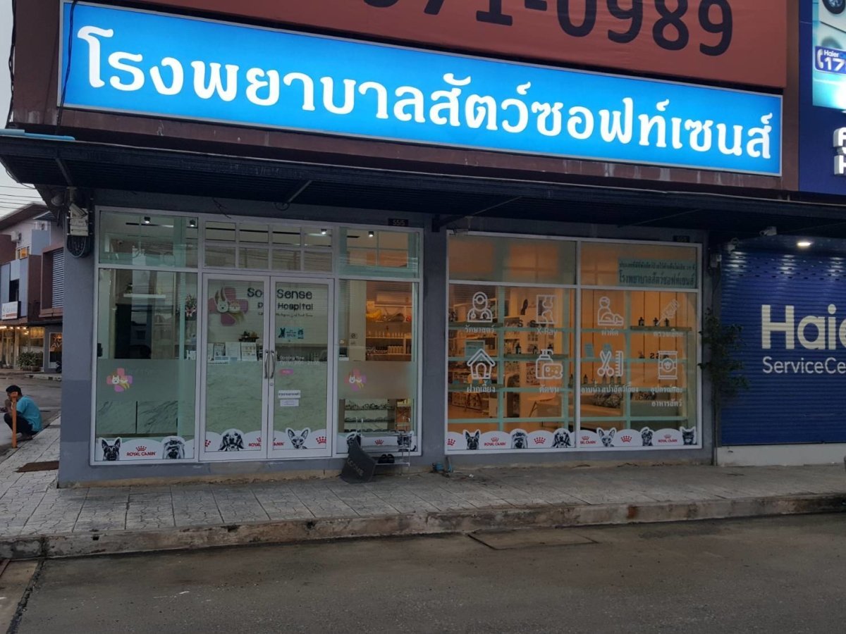 สติ๊กเกอร์ไดคัท และสติ๊กเกอร์ติดกระจกหน้าร้าน พิมพ์คมชัด สีสวยทนทาน เหมาะสำหรับงานตกแต่งร้านค้า โปรโมชัน และโฆษณา