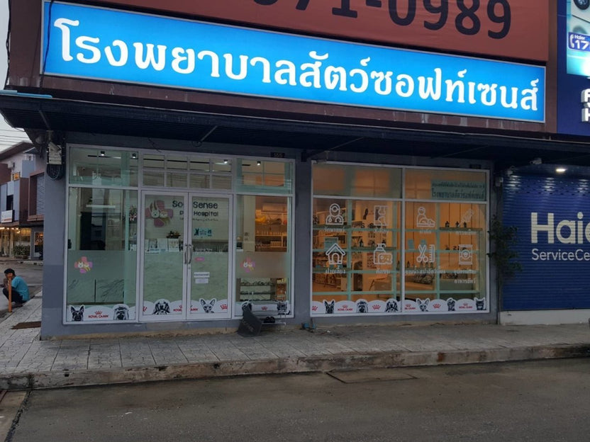สติ๊กเกอร์ไดคัท และสติ๊กเกอร์ติดกระจกหน้าร้าน พิมพ์คมชัด สีสวยทนทาน เหมาะสำหรับงานตกแต่งร้านค้า โปรโมชัน และโฆษณา