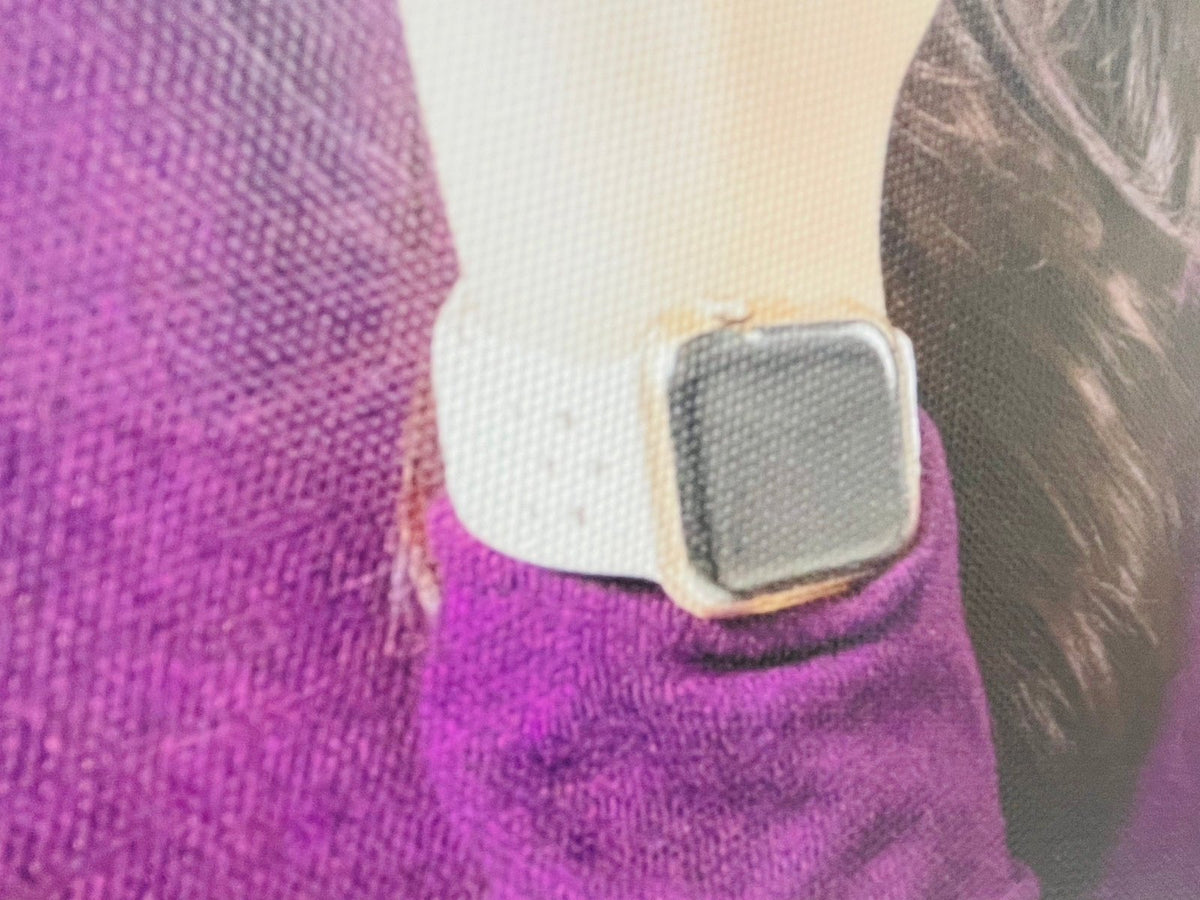 รูปติดผนัง ภาพแคนวาส และรูปกรอบลอย พิมพ์คมชัด สีสวยทนทาน เหมาะสำหรับตกแต่งบ้าน ร้านค้า และออฟฟิศ