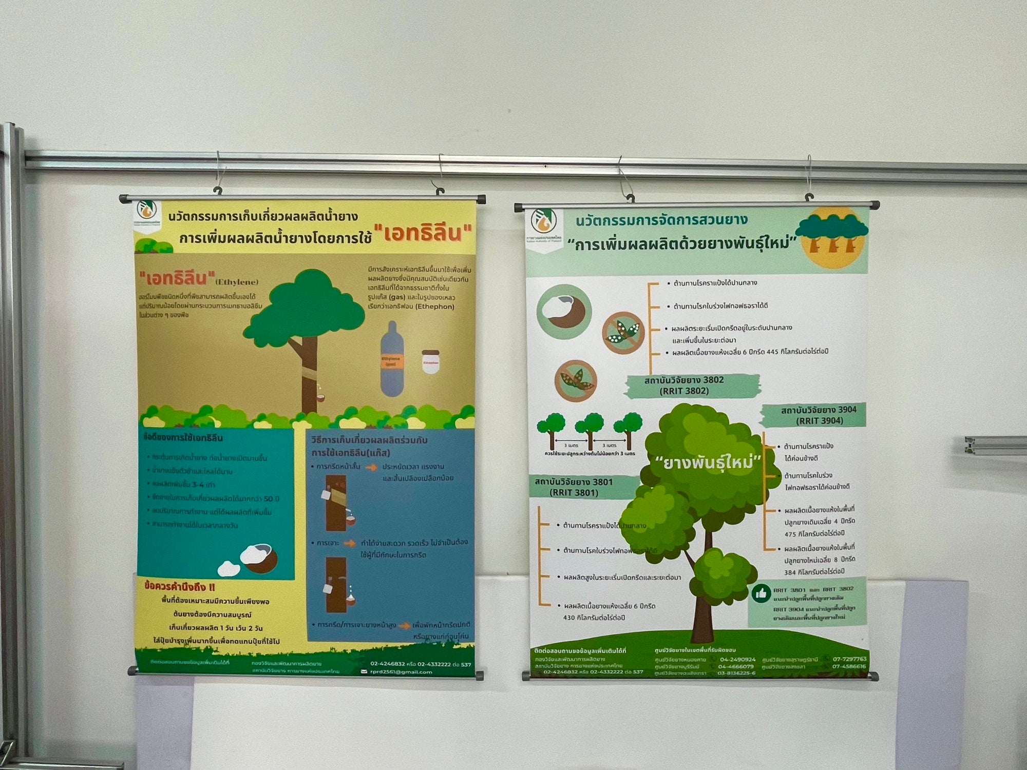 โปสเตอร์แขวนผนัง Hanging Poster พิมพ์คมชัด สีสดใส เหมาะสำหรับงานโฆษณา ประชาสัมพันธ์ และตกแต่งผนัง