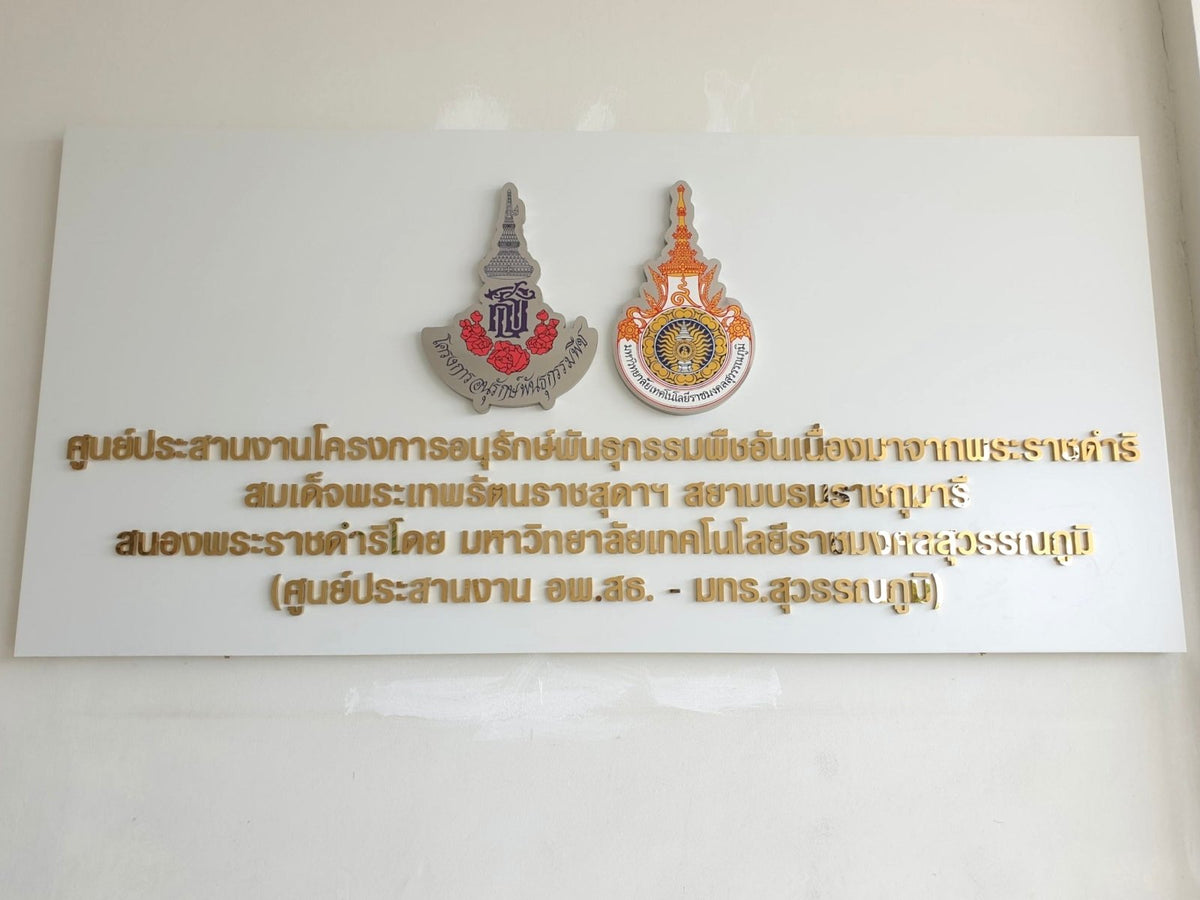 ป้ายสแตนเลส ทองเงา Mirror สวยหรู ทนทาน ใช้สำหรับป้ายชื่อบริษัท โลโก้องค์กร และตกแต่งอาคาร