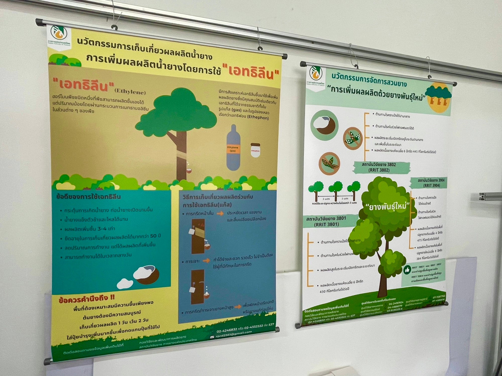 โปสเตอร์แขวนผนัง Hanging Poster พิมพ์คมชัด สีสดใส เหมาะสำหรับงานโฆษณา ประชาสัมพันธ์ และตกแต่งผนัง