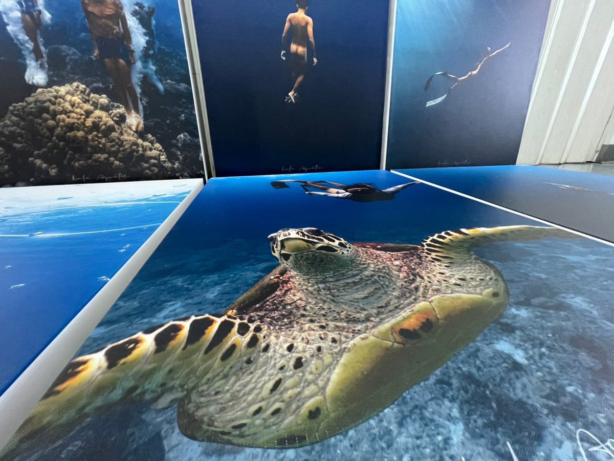 กรอบรูปแคนวาส พิมพ์คมชัด สีสด เหมาะสำหรับตกแต่งบ้าน ร้านอาหาร คาเฟ่ และแกลเลอรี