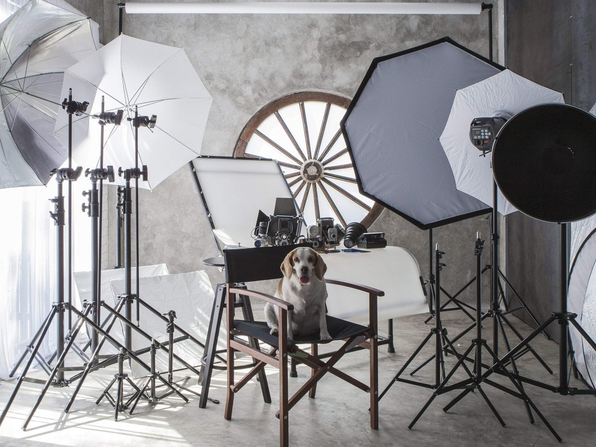 เช่าสตูดิโอ ถ่ายรูป ราคาถูก (Photography Studio)